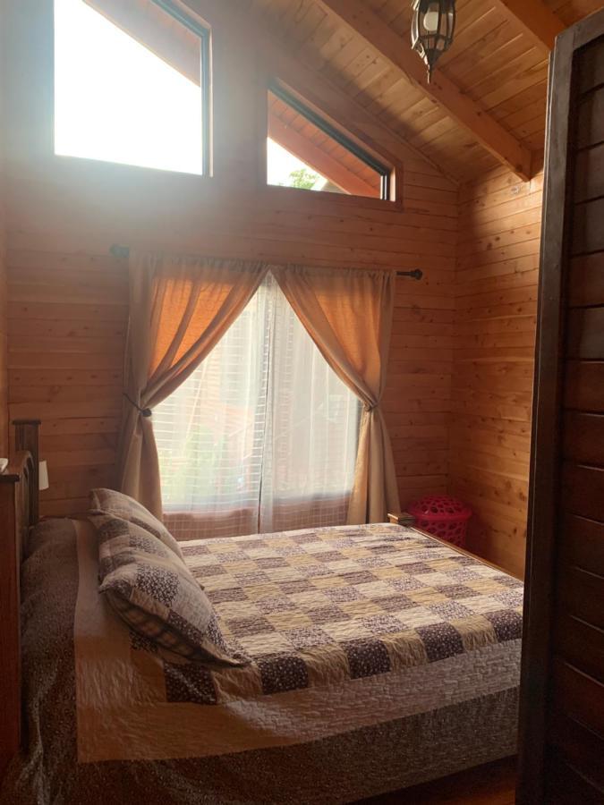 ウビタ Pura Vida Cabinitaヴィラ エクステリア 写真