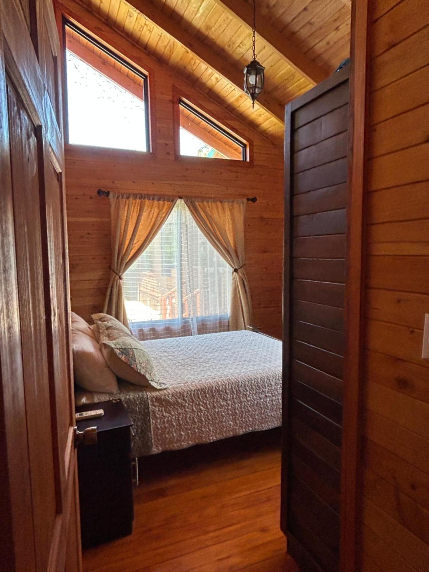ウビタ Pura Vida Cabinitaヴィラ 部屋 写真